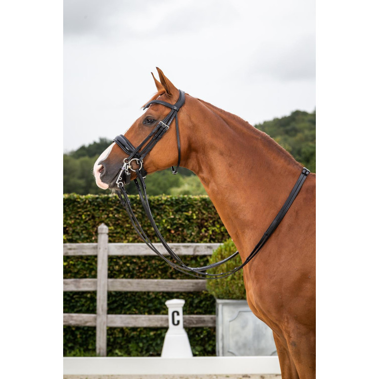 Briglia Dy'on collezione dressage cuoio piatto Capezzina Large Verniciata