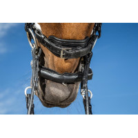 Briglia Dy'on collezione dressage cuoio piatto Capezzina Large Verniciata Fodera Bianca Nero