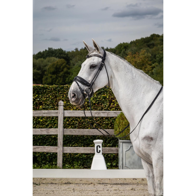 Briglia collezione Dy'on dressage cuoio tondo Capezzina Combinata Larga
