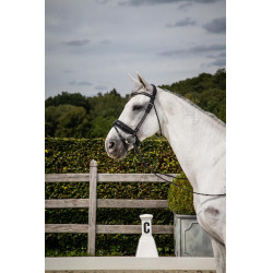 Briglia Dy'on collezione dressage cuoio tondo Capezzina Combinata Larga Lucida