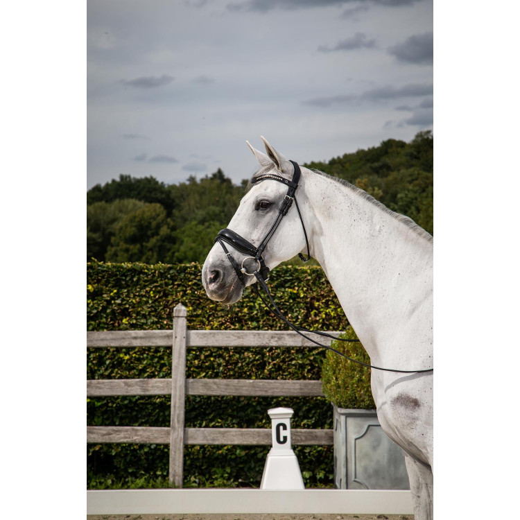 Briglia Dy'on collezione dressage cuoio tondo Capezzina Combinata Larga Lucida