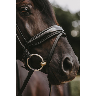 Briglia Dy'on collezione dressage cuoio tondo Capezzina Combinata Larga Lucida Briglia Dy'on collezione dressage cuoio tondo Capezzina Combinata Larga Lucida