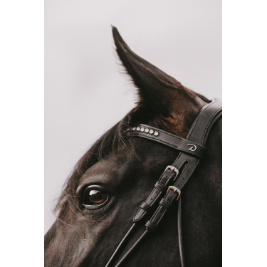 Briglia Dy'on collezione dressage cuoio tondo Capezzina Combinata Larga Lucida Briglia Dy'on collezione dressage cuoio tondo Capezzina Combinata Larga Lucida
