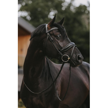 Briglia Dy'on collezione dressage cuoio tondo Capezzina Combinata Larga Lucida Briglia Dy'on collezione dressage cuoio tondo Capezzina Combinata Larga Lucida