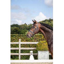 Briglia Dy'on collezione dressage cuoio piatto Capezzina Combinata Larga Verniciata Fodera Bianca