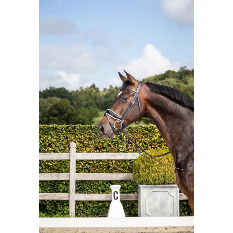 Briglia Dy'on collezione dressage cuoio piatto Capezzina Combinata Larga Verniciata Fodera Bianca Briglia Dy'on collezione dressage cuoio piatto Capezzina Combinata Larga Verniciata Fodera Bianca