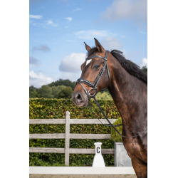 Briglia Dy'on collezione dressage cuoio piatto Capezzina Combinata Media con Chiusura Pull-Back