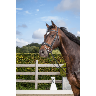Briglia Dy'on collezione dressage cuoio piatto Capezzina Combinata Media con Chiusura Pull-Back Briglia Dy'on collezione dressage cuoio piatto Capezzina Combinata Media con Chiusura Pull-Back