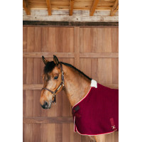 Coperta asciugante Kentucky PROtherm Bordeaux Coperta asciugante Kentucky PROtherm Bordeaux