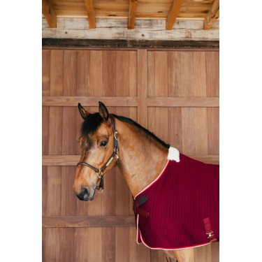 Coperta asciugante Kentucky PROtherm Coperta asciugante Kentucky PROtherm