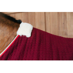 Coperta asciugante Kentucky PROtherm Bordeaux Coperta asciugante Kentucky PROtherm Bordeaux