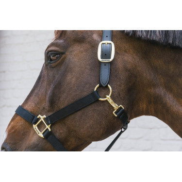 Capestro in nylon Breakaway Kentucky Capestro in nylon Breakaway Kentucky