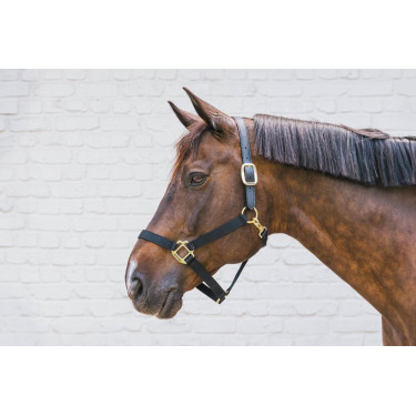 Capestro in nylon Breakaway Kentucky Capestro in nylon Breakaway Kentucky