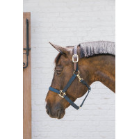Capestro in nylon Breakaway Kentucky Marina Blu marino Capestro in nylon Breakaway Kentucky Marina Blu marino