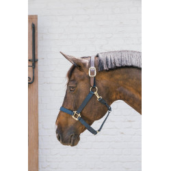 Capestro in nylon Breakaway Kentucky Marina Blu marino Capestro in nylon Breakaway Kentucky Marina Blu marino