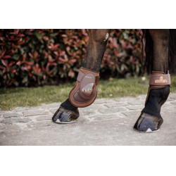 Paranocche Deep per giovani cavalli Kentucky