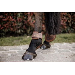 Paranocche Deep per giovani cavalli Kentucky Marrone
