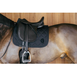 Sottosella Kentucky Wave Dressage