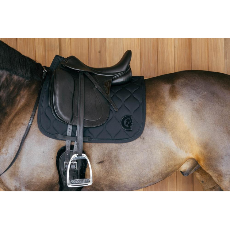 Sottosella Kentucky Wave Dressage