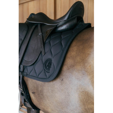 Sottosella Kentucky Wave Dressage Sottosella Kentucky Wave Dressage