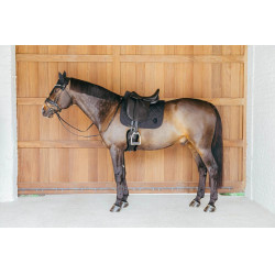 Sottosella Kentucky Wave Dressage Nero