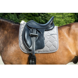 Sottosella Dy'on Corduroy Dressage