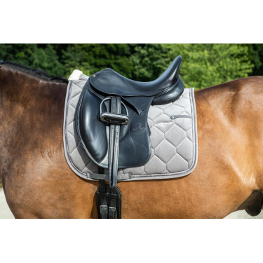 Sottosella Dy'on Corduroy Dressage