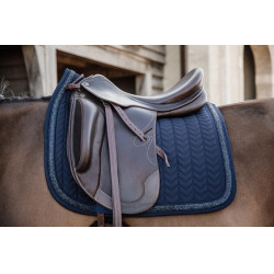 Sottosella Kentucky Glitter Stone dressage