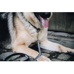 Collare per cane Loop Kentucky Grigio