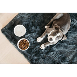 Ciotola per cane Bamboo Terrazzo Kentucky