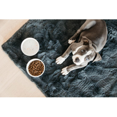 Ciotola per cane Bamboo Terrazzo Kentucky