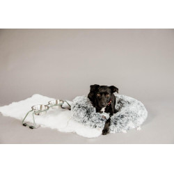 Ciotola per cane Confort Kentucky Verde polveroso