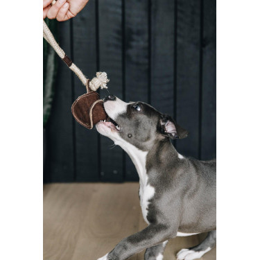 Giocattolo per cane Cotton Rope Baseball Kentucky