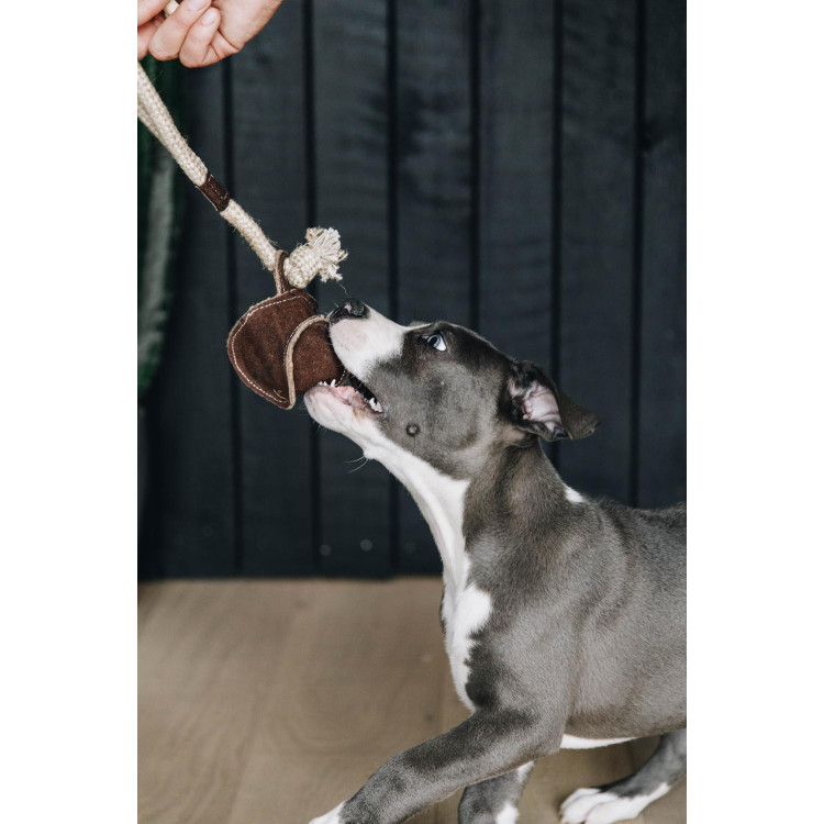 Giocattolo per cane Cotton Rope Baseball Kentucky