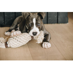 Giocattolo per cane Corda di Cotone Ananas Kentucky
