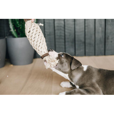 Giocattolo per cane Corda di Cotone Ananas Kentucky Giocattolo per cane Corda di Cotone Ananas Kentucky