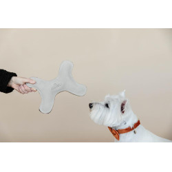 Giocattolo per cane Pastel Bone Kentucky