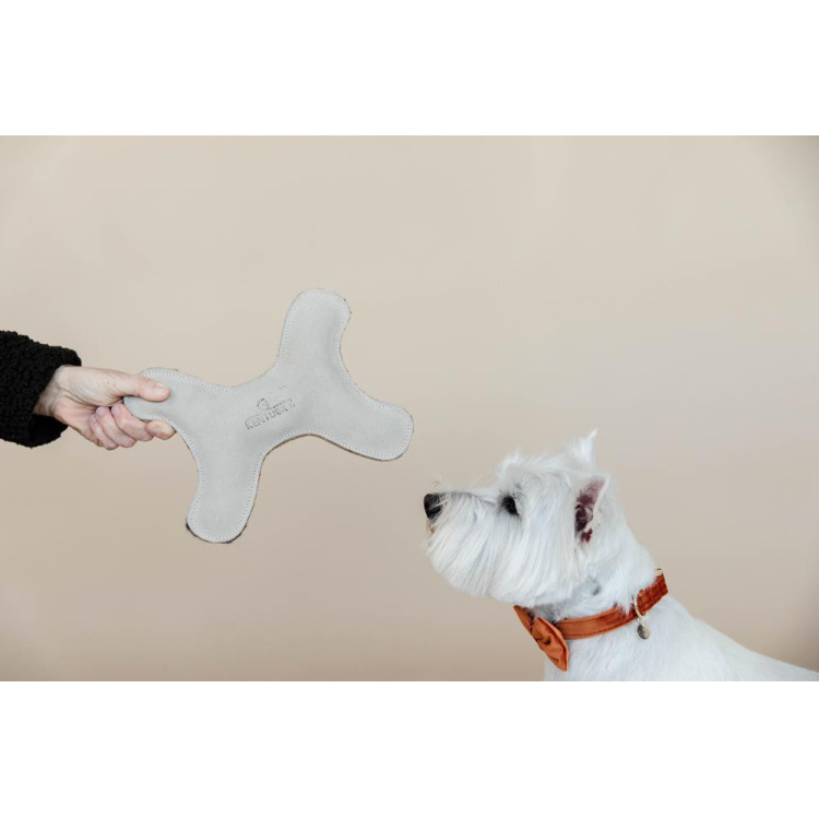 Giocattolo per cane Pastel Bone Kentucky