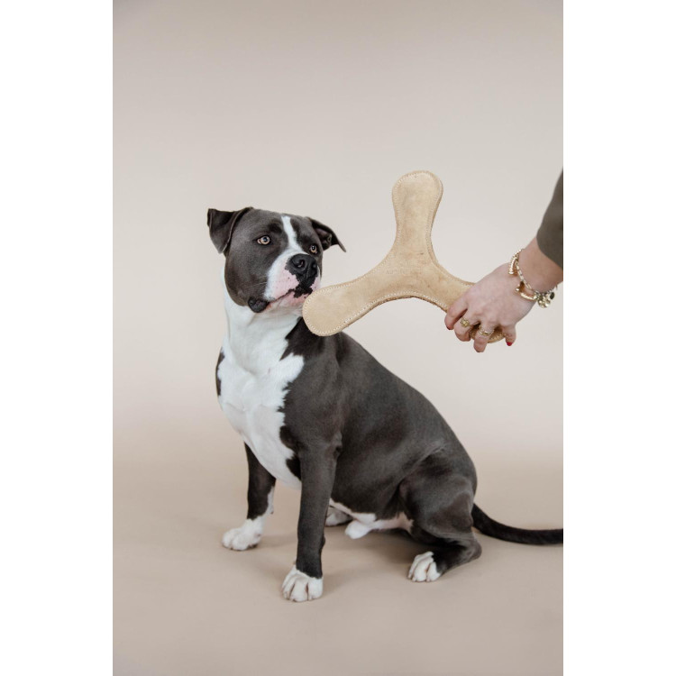 Giocattolo per cane Boomerang Pastello Kentucky