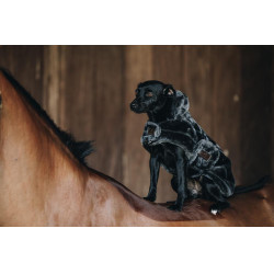 Giacca per cani in pelliccia sintetica Kentucky Grigio Giacca per cani in pelliccia sintetica Kentucky Grigio