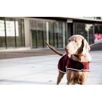 Cappotto per cane Heavy Fleece Kentucky Bordeaux Cappotto per cane Heavy Fleece Kentucky Bordeaux
