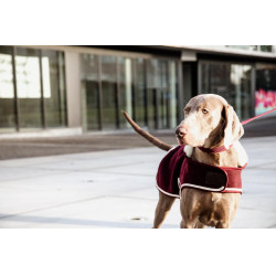 Cappotto per cane Heavy Fleece Kentucky Bordeaux