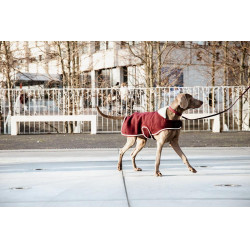 Cappotto per cane Heavy Fleece Kentucky Bordeaux