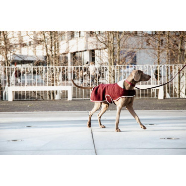 Cappotto per cane Heavy Fleece Kentucky Bordeaux