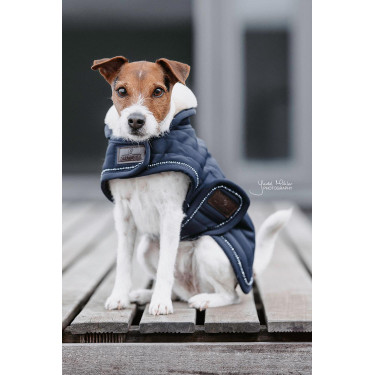 Cappotto per cane Pearls Kentucky Marina Blu marino Cappotto per cane Pearls Kentucky Marina Blu marino