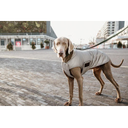 Cappotto per cane Kentucky riflettente e idrorepellente con protezione ventrale Argento Cappotto per cane Kentucky riflettente e idrorepellente con protezione ventrale Argento
