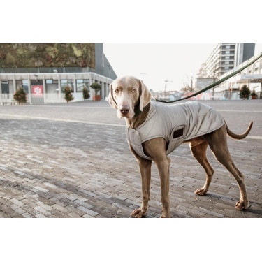 Cappotto per cane Kentucky riflettente e idrorepellente con protezione ventrale Cappotto per cane Kentucky riflettente e idrorepellente con protezione ventrale