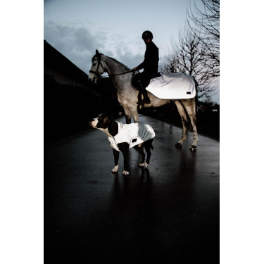 Cappotto per cane Kentucky riflettente e idrorepellente con protezione ventrale Cappotto per cane Kentucky riflettente e idrorepellente con protezione ventrale