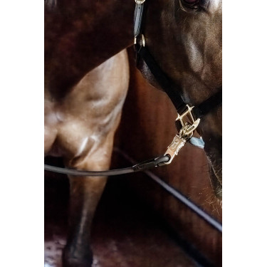 Lunga di attacco in silicone Kentucky