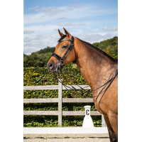 Briglia Dy'on Museruola Large Vernie collezione dressage cuoio tondo Nero Briglia Dy'on Museruola Large Vernie collezione dressage cuoio tondo Nero